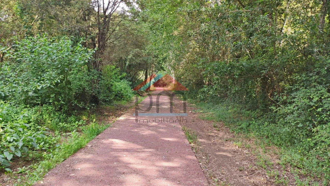 Terreno para Venda em São Pedro da Torre Foto 12