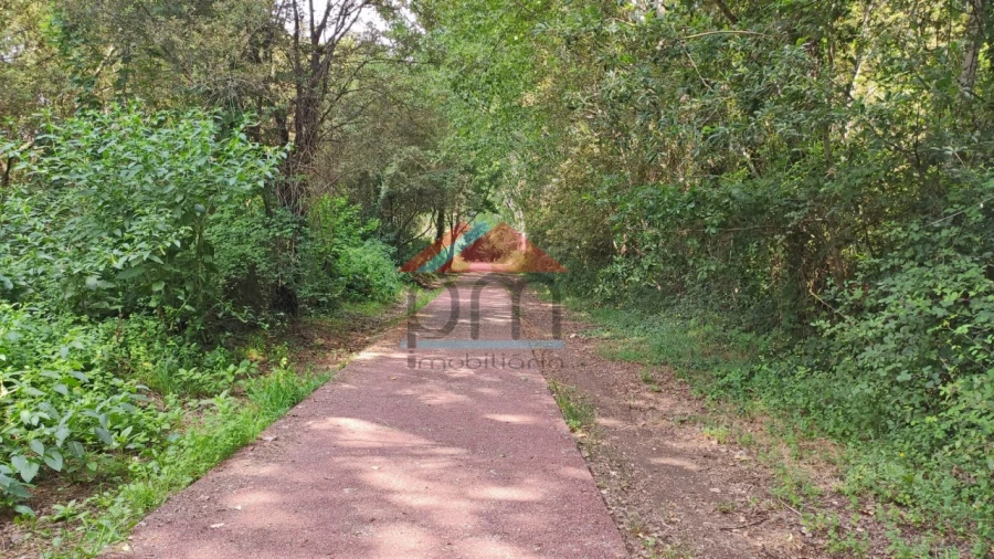 Terreno para Venda em São Pedro da Torre Foto 12