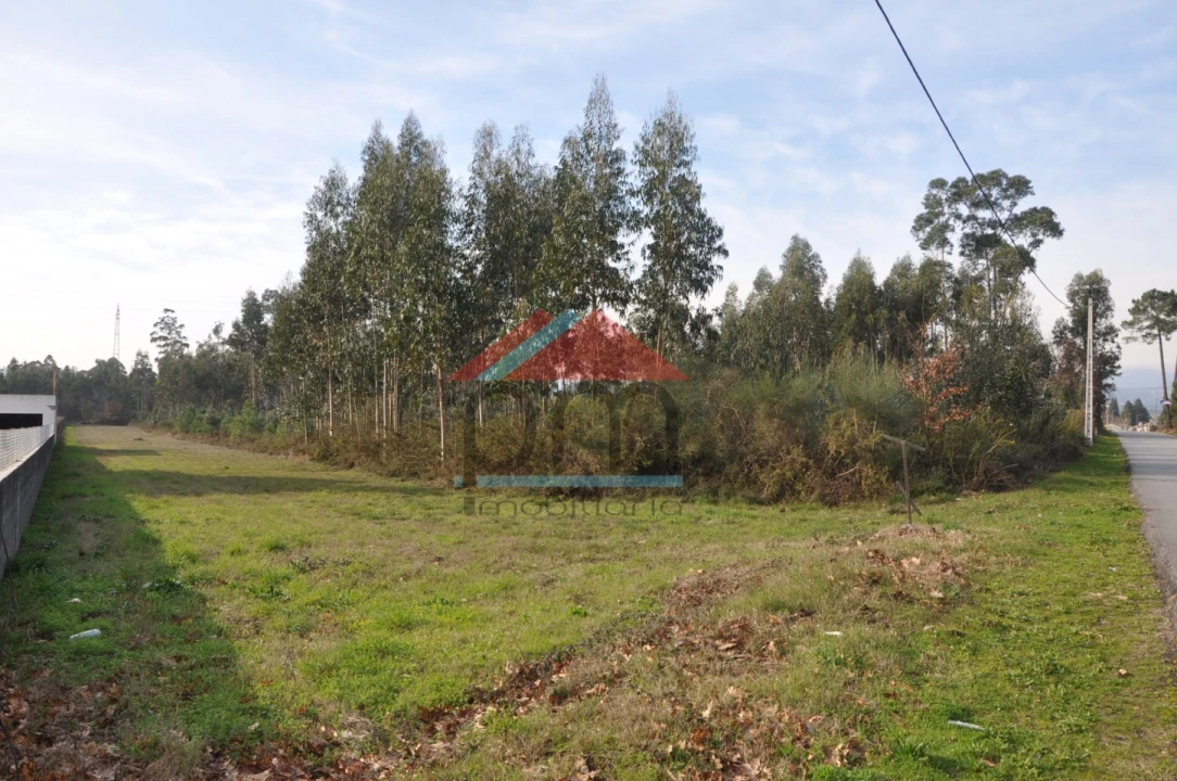Terreno para Venda em Gandra e Taião Foto 1