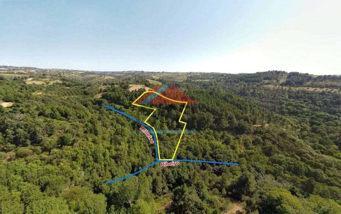 Terreno para Venda em Friões Foto 5