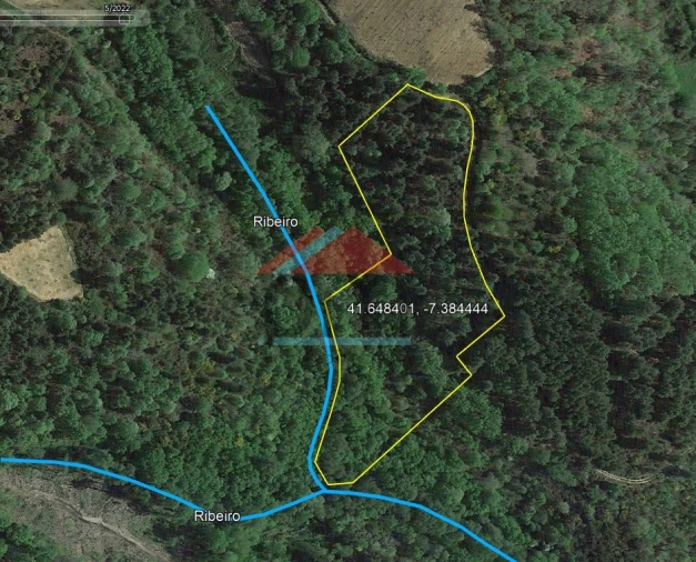 Terreno para Venda em Friões