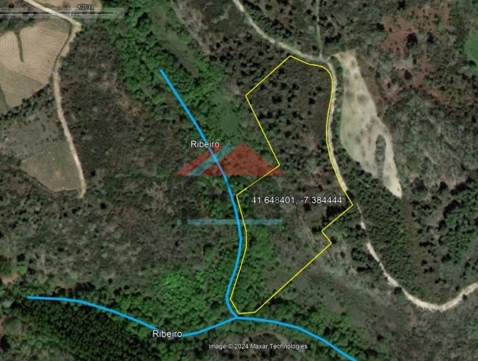 Terreno para Venda em Friões Foto 4