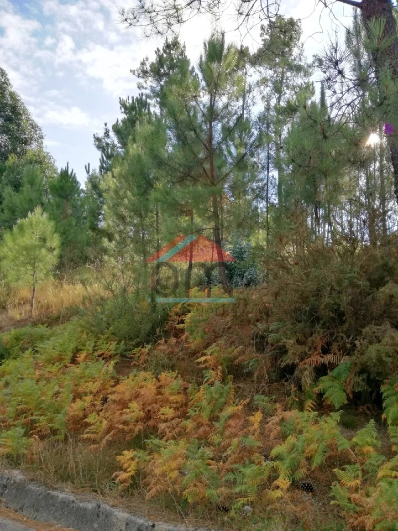 Terreno para Venda em Longos Vales Foto 6
