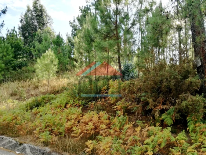 Terreno para Venda em Longos Vales