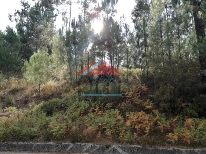 Terreno para Venda em Longos Vales Foto 2