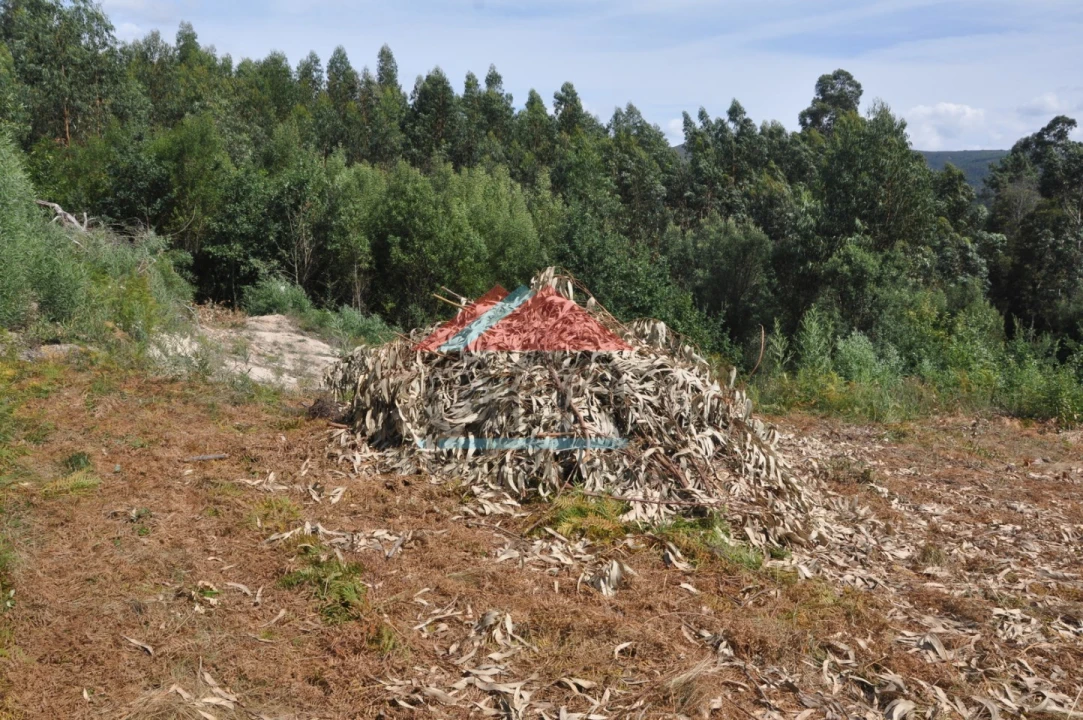 Terreno para Venda em Cerdal Foto 9