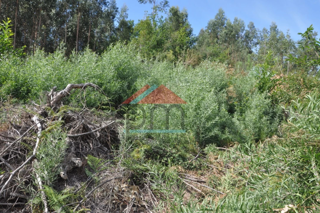 Terreno para Venda em Cerdal Foto 12