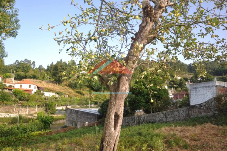 Terreno para Venda em Verdoejo Foto 8