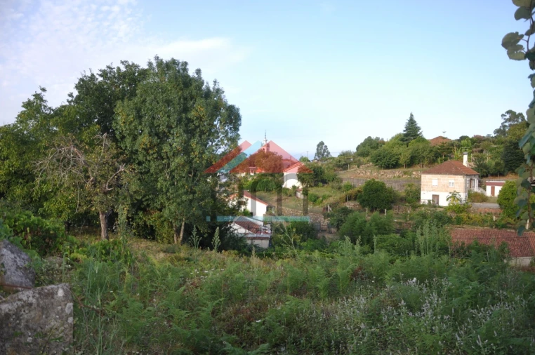 Terreno para Venda em Verdoejo Foto 14