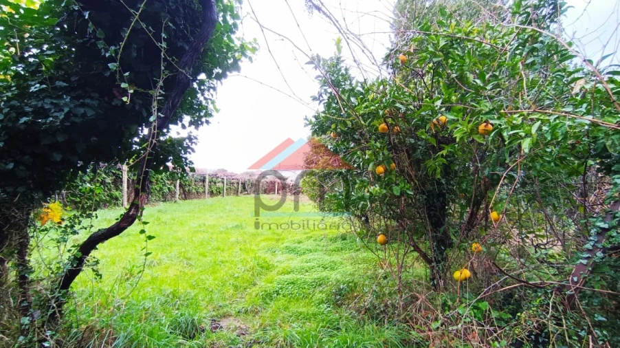 Moradia T2 para Venda em Ceivães e Badim Foto 11