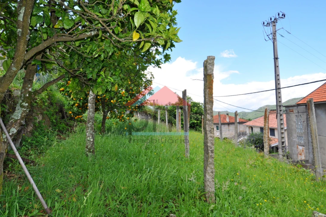 Moradia T3 para Venda em Riba de Mouro Foto 22