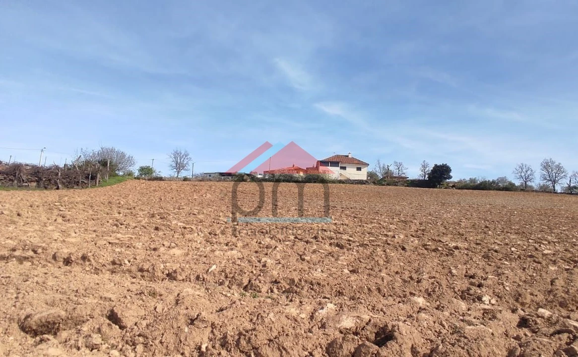 Terreno para Venda em Penas Roias Foto 1