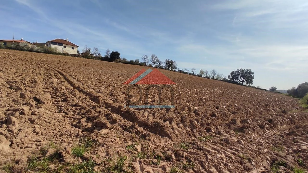 Terreno para Venda em Penas Roias Foto 2
