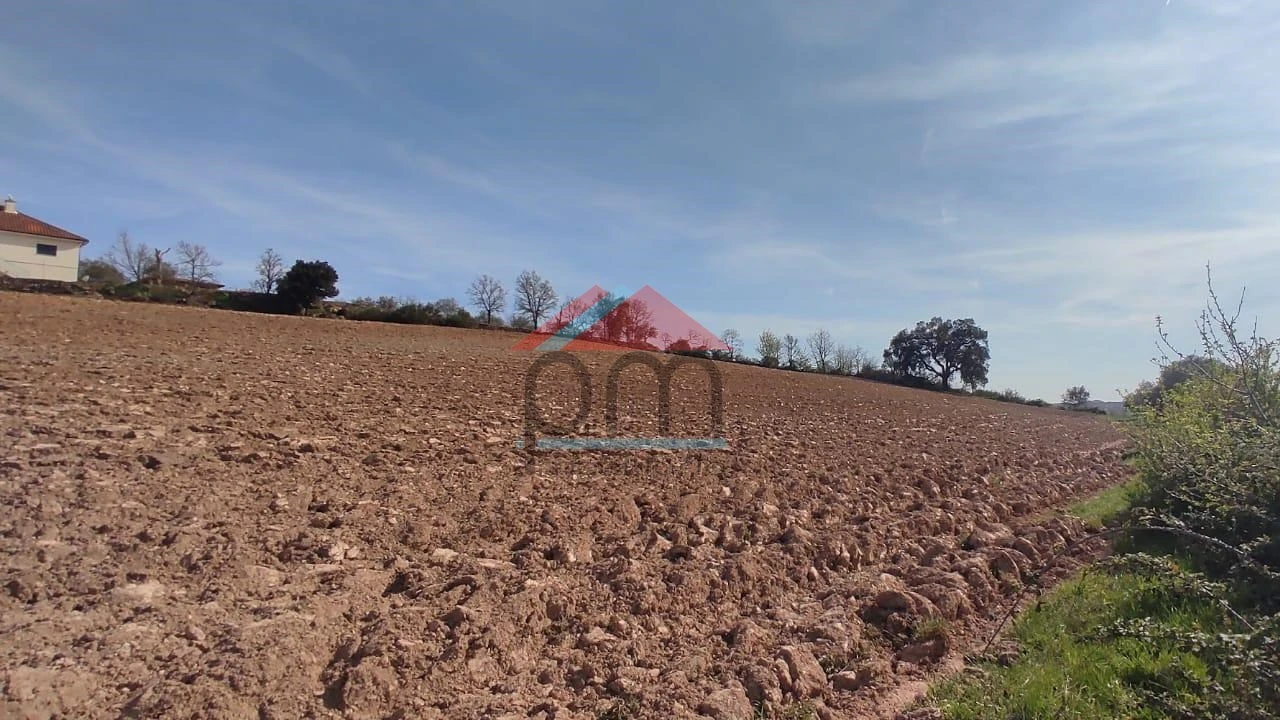 Terreno para Venda em Penas Roias Foto 3