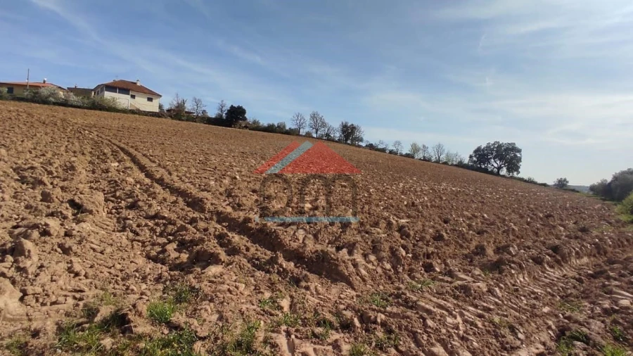 Terreno para Venda em Penas Roias Foto 2