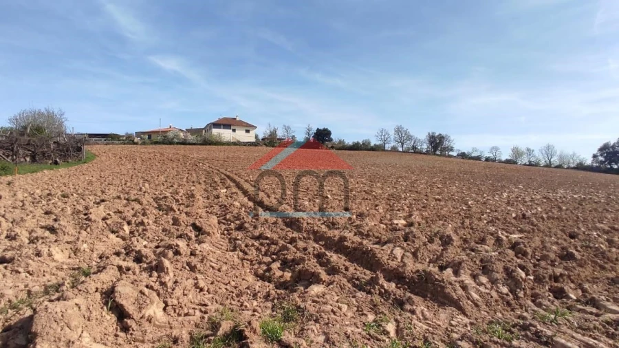 Terreno para Venda em Penas Roias Foto 4