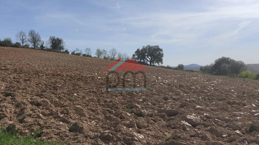 Terreno para Venda em Penas Roias Foto 5