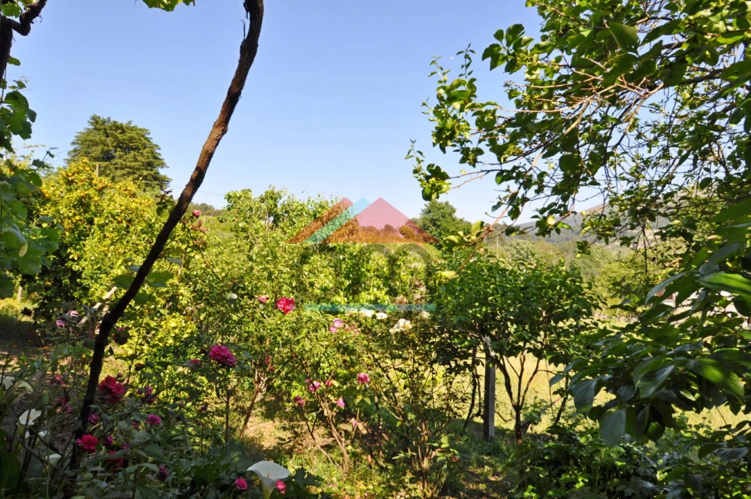 Moradia T4 para Venda em Riba de Mouro Foto 20