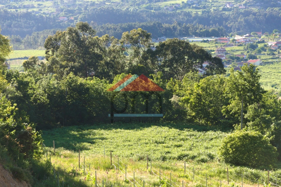 Terreno para Venda em Messegães, Valadares e Sá Foto 2