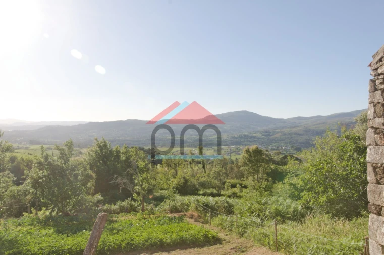 Terreno para Venda em Messegães, Valadares e Sá Foto 7