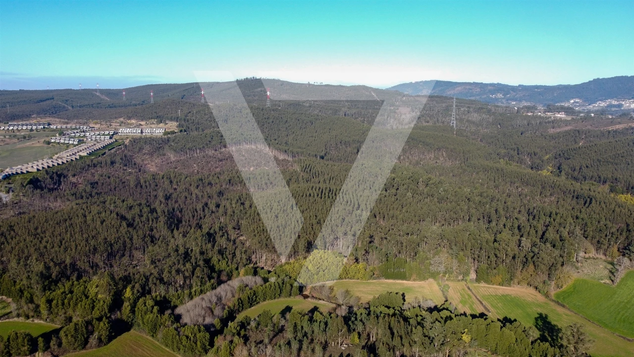 Terreno para Venda em Água Longa Foto 13