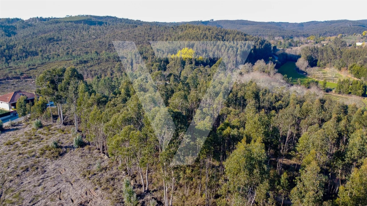 Terreno para Venda em Água Longa Foto 10
