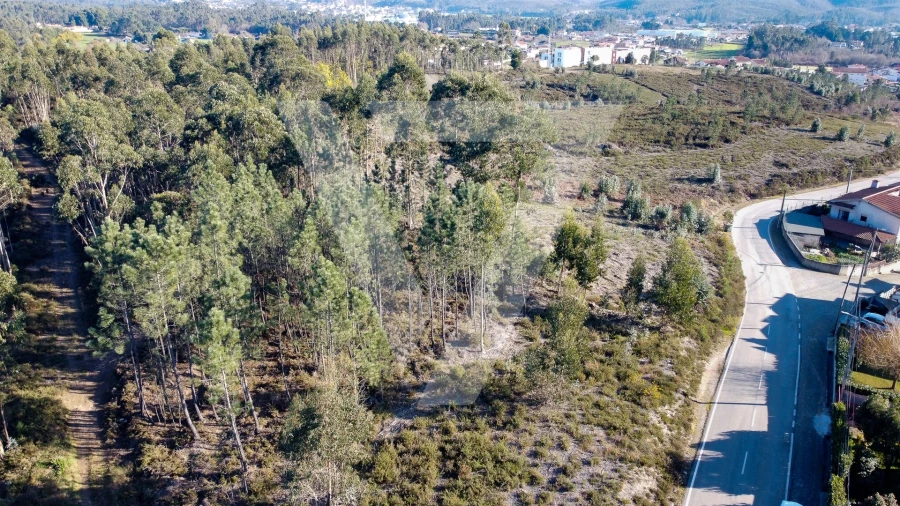 Terreno para Venda em Água Longa Foto 4