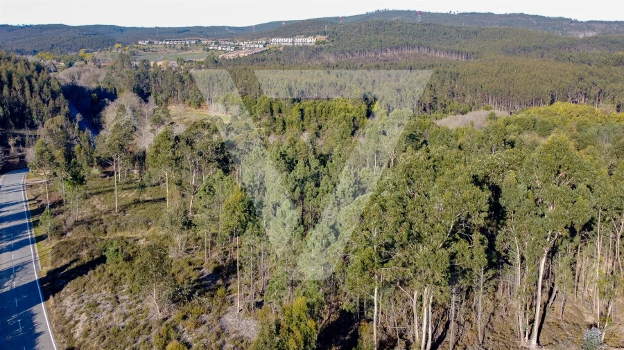 Terreno para Venda em Água Longa Foto 3