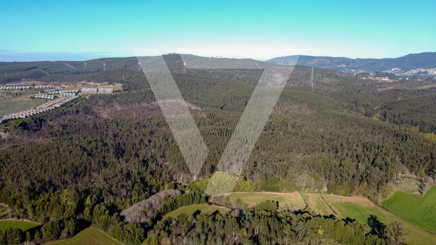Terreno para Venda em Água Longa Foto 13