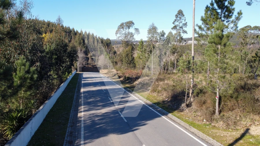 Terreno para Venda em Água Longa Foto 1