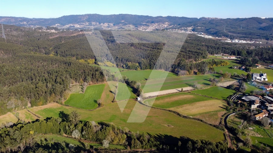 Terreno para Venda em Água Longa Foto 14