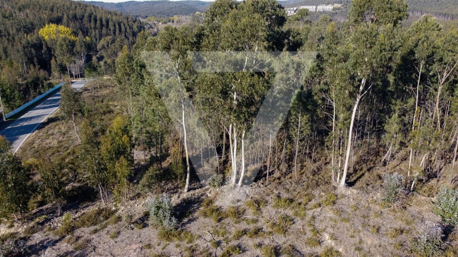 Terreno para Venda em Água Longa Foto 6