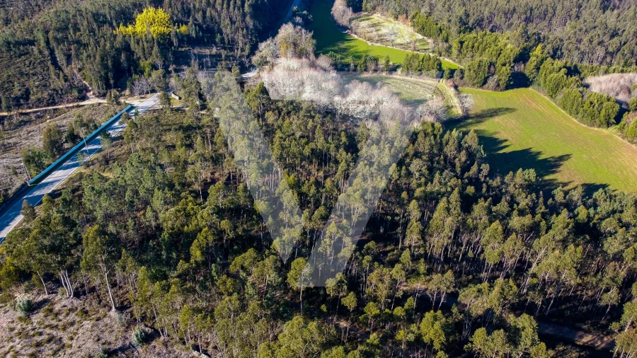 Terreno para Venda em Água Longa Foto 7