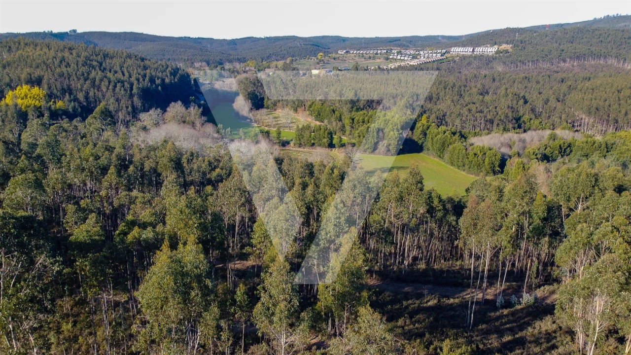Terreno para Venda em Água Longa Foto 17