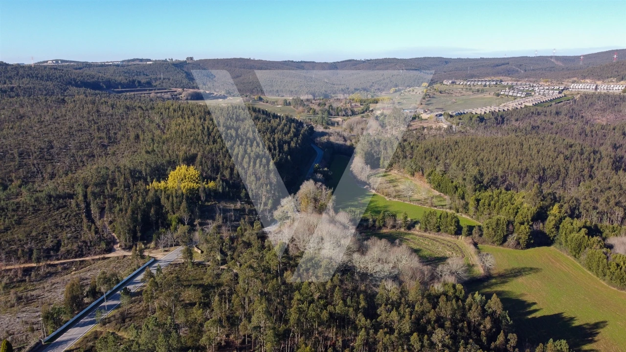 Terreno para Venda em Água Longa Foto 5