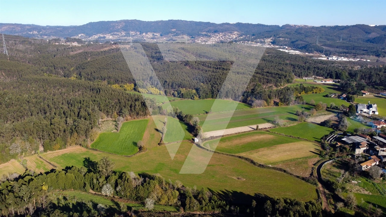 Terreno para Venda em Água Longa Foto 14