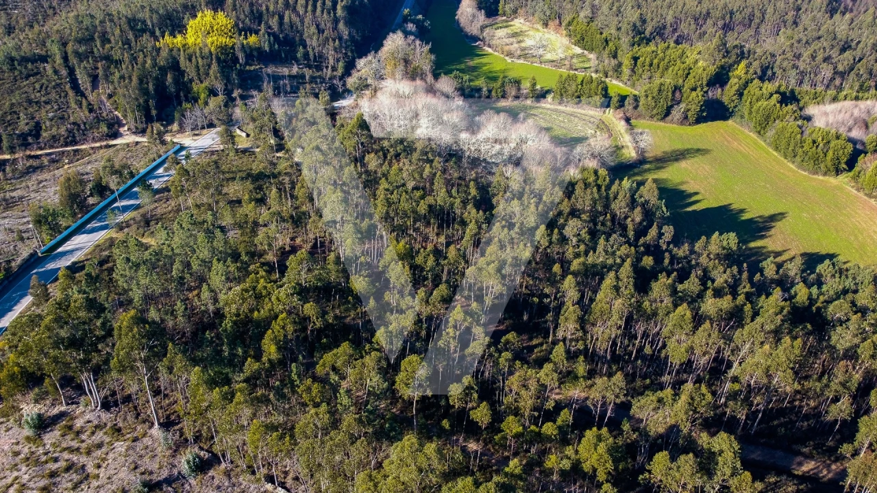 Terreno para Venda em Água Longa Foto 7