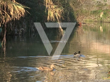 Terreno para Venda em Rio Tinto