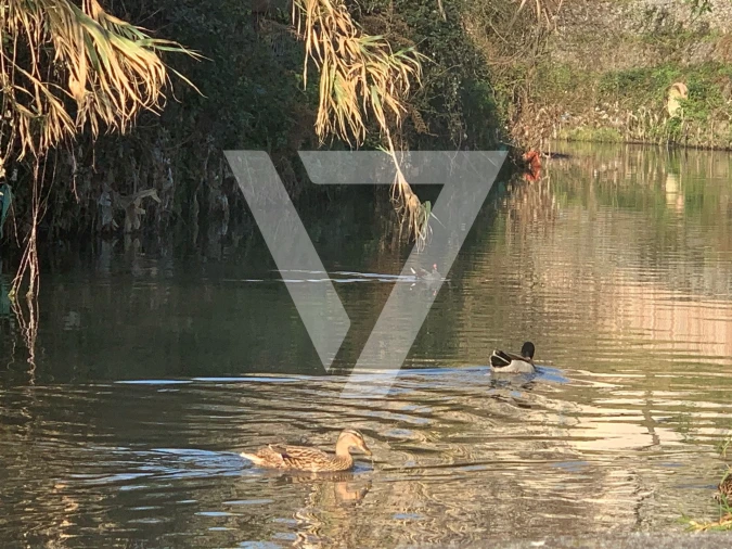 Terreno para Venda em Rio Tinto Foto 29