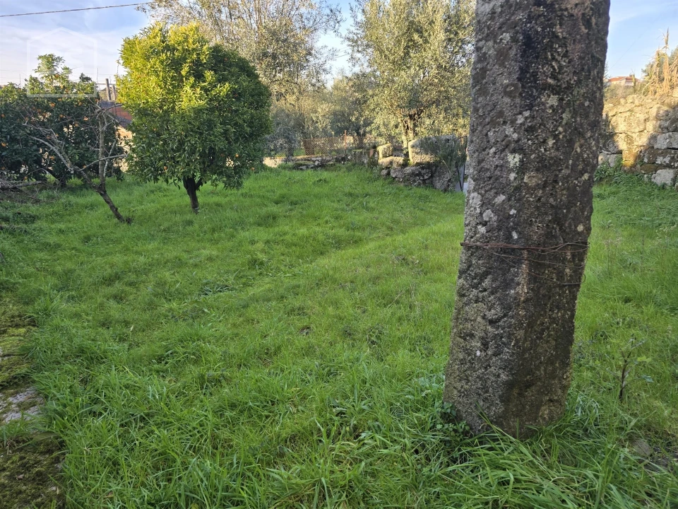 Moradia T0 para Venda em Silgueiros Foto 1