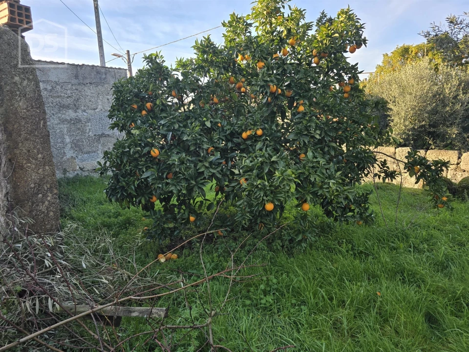 Moradia T0 para Venda em Silgueiros Foto 3