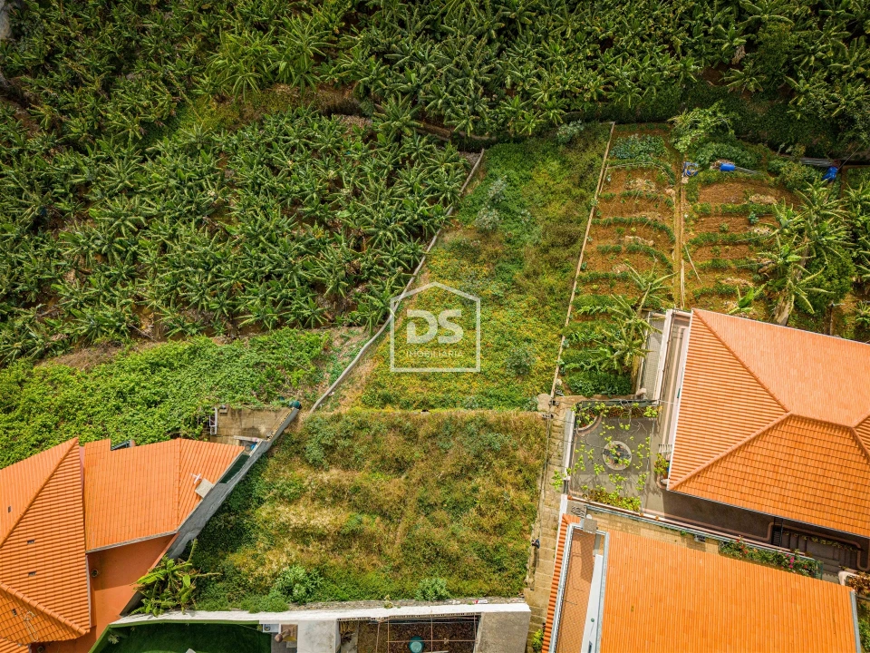 Terreno para Venda em São Martinho Foto 2