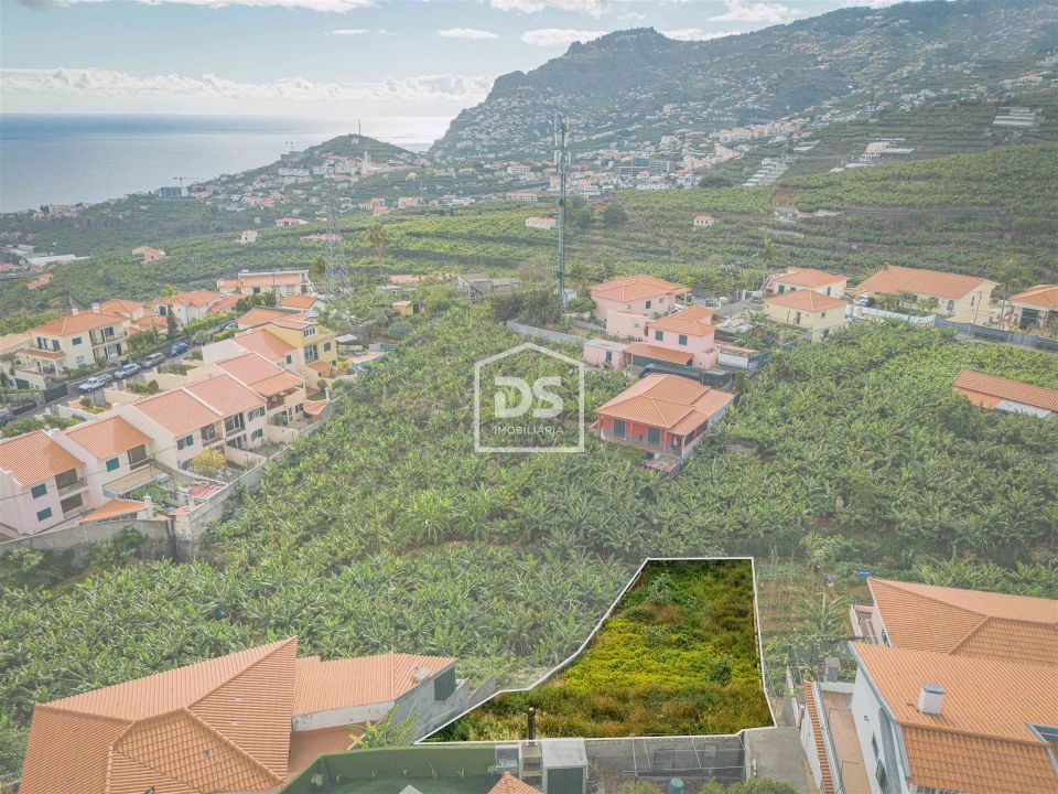 Terreno para Venda em São Martinho Foto 13