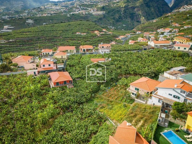 Terreno para Venda em São Martinho Foto 10
