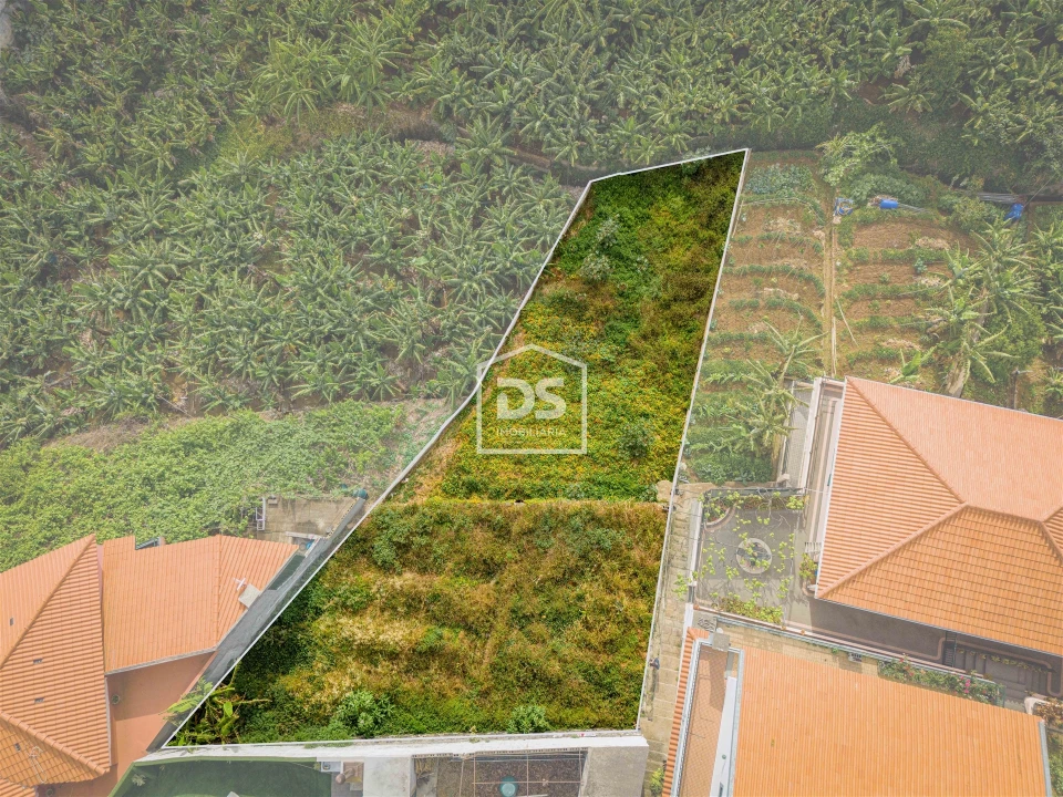 Terreno para Venda em São Martinho Foto 1