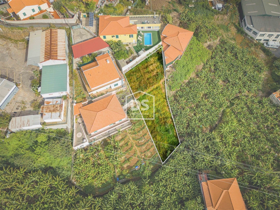 Terreno para Venda em São Martinho Foto 6