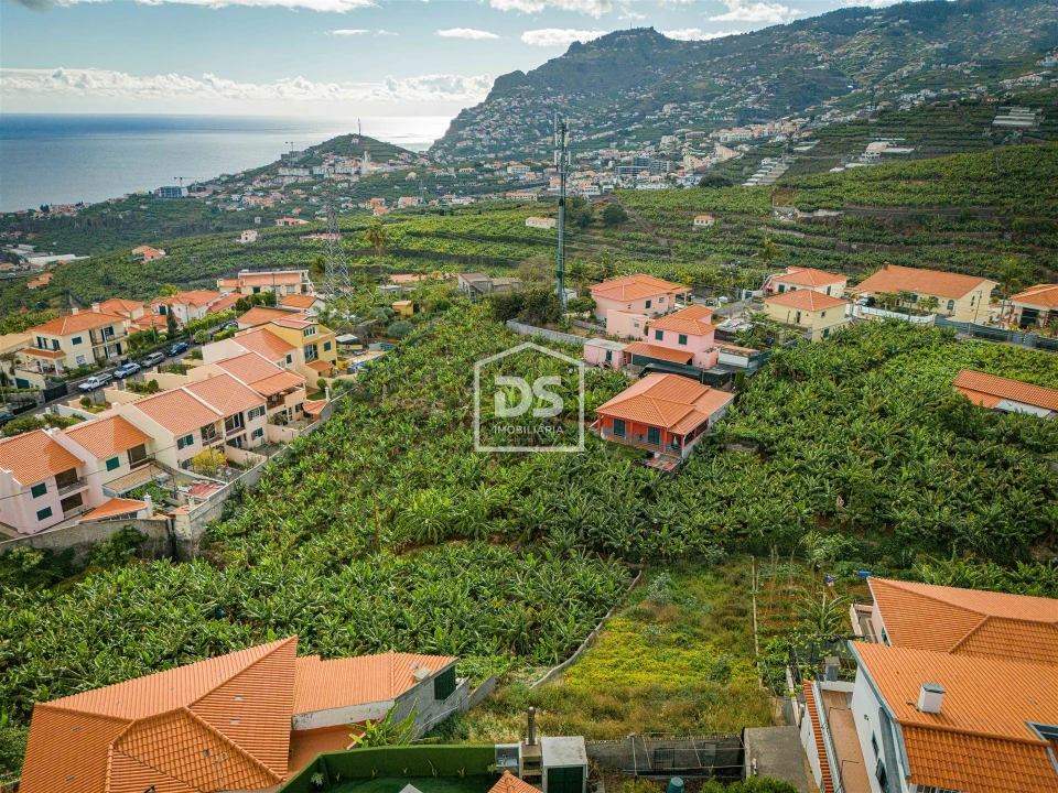 Terreno para Venda em São Martinho Foto 12