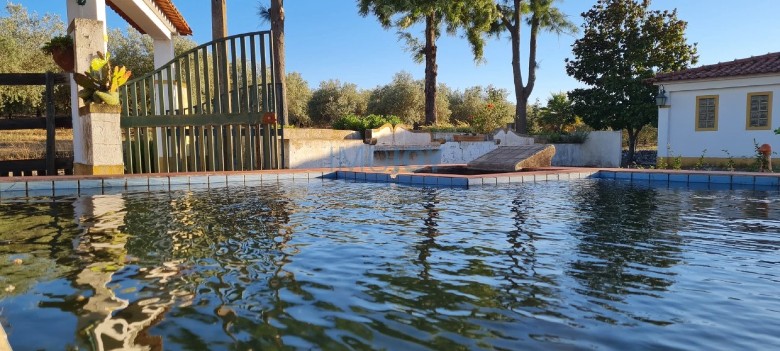 Quinta T4 para Venda em Benavila e Valongo Foto 16