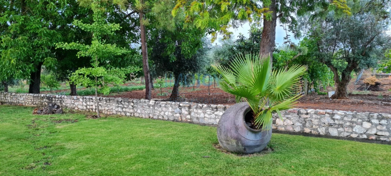 Quinta T4 para Venda em Benavila e Valongo Foto 15