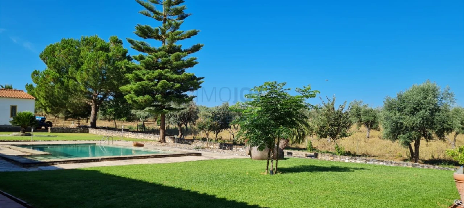 Quinta T4 para Venda em Benavila e Valongo Foto 4